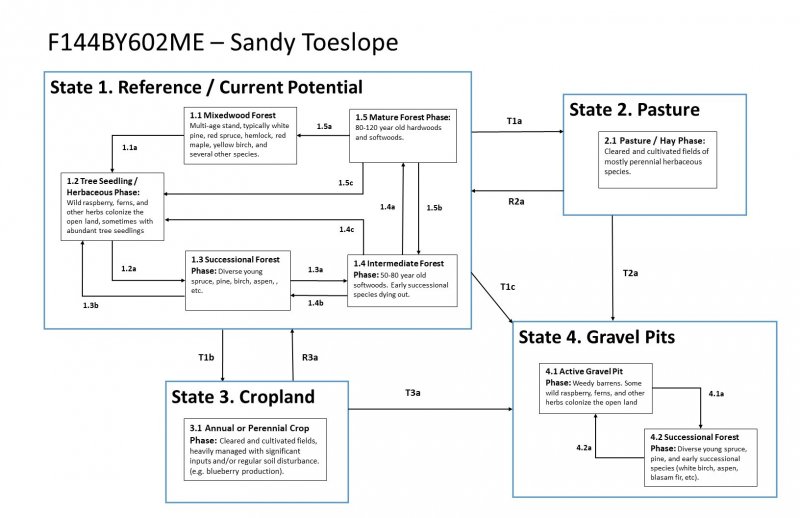 Model diagram