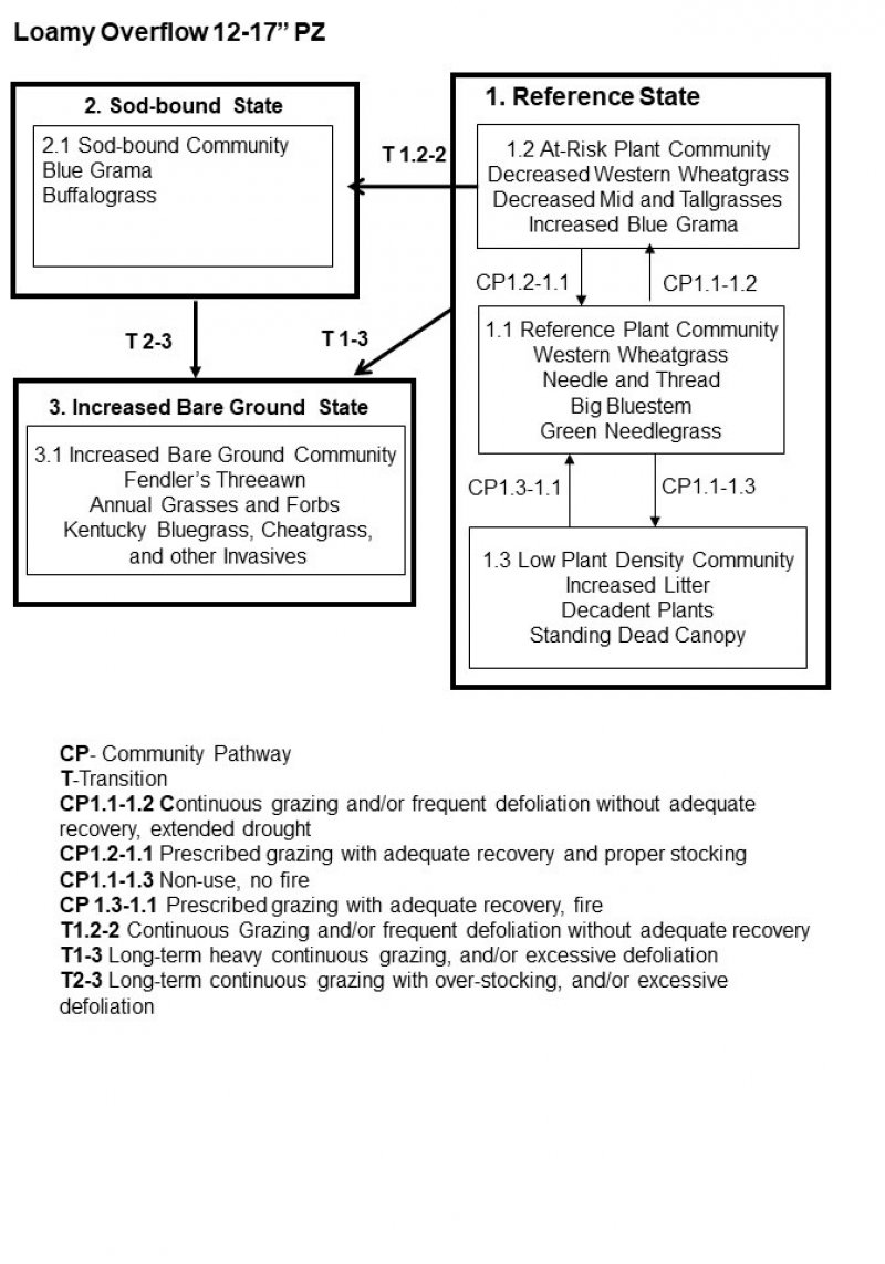 Model diagram