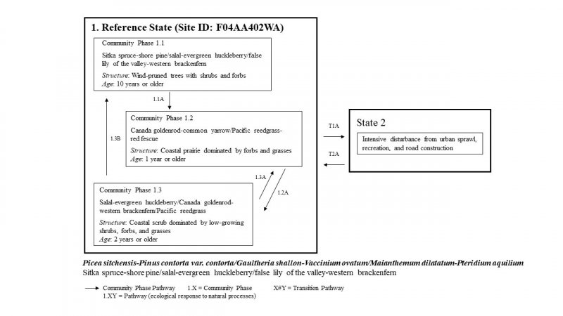 Model diagram