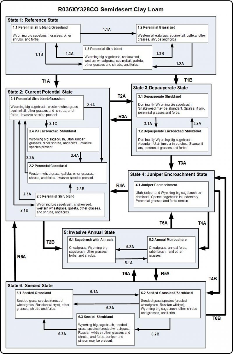 Model diagram
