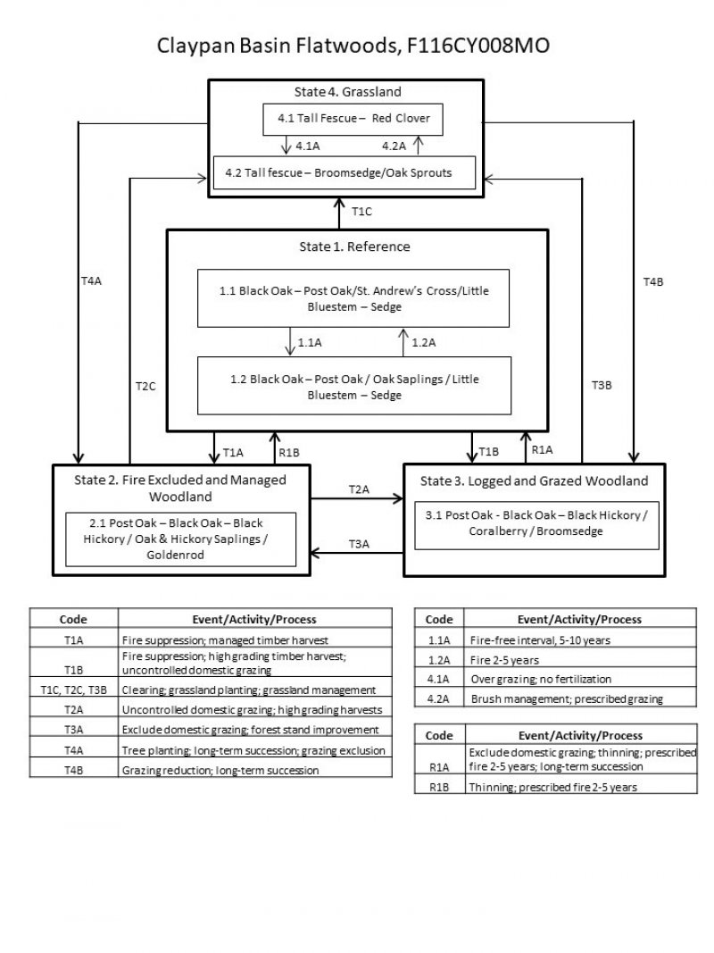 Model diagram