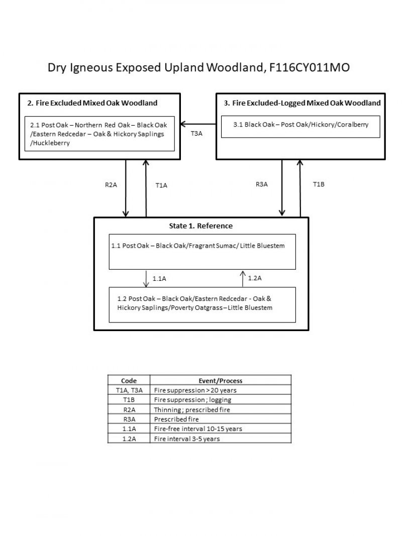 Model diagram