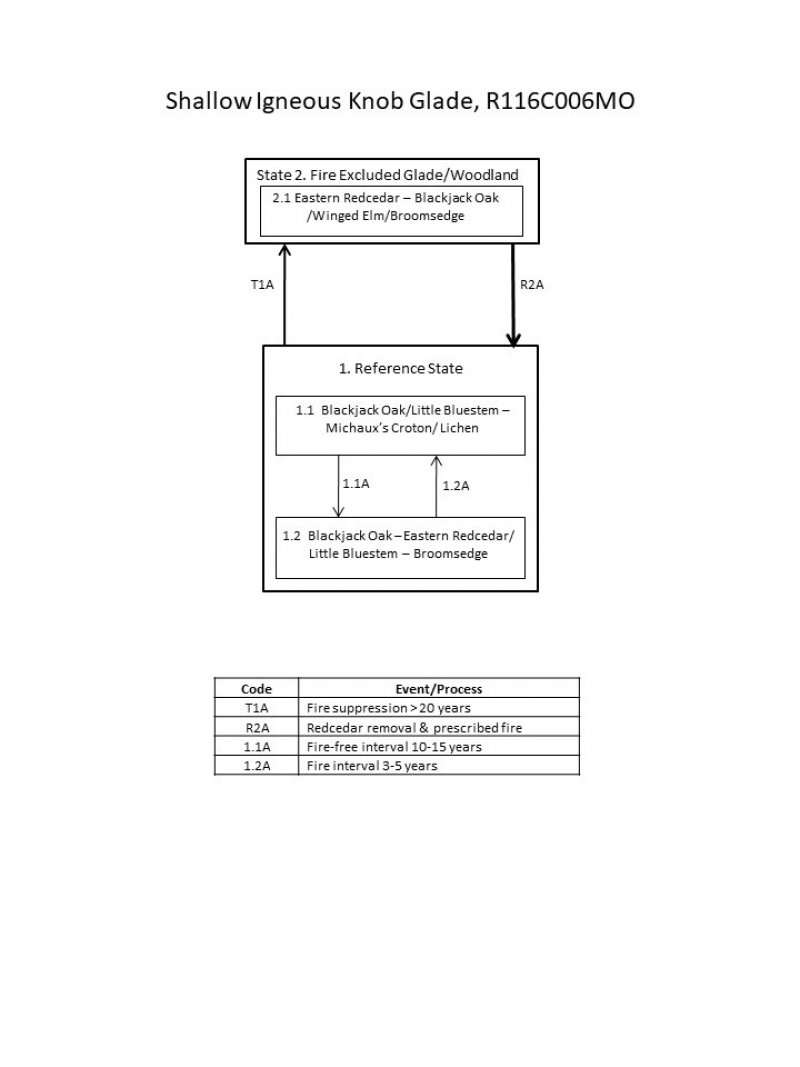 Model diagram