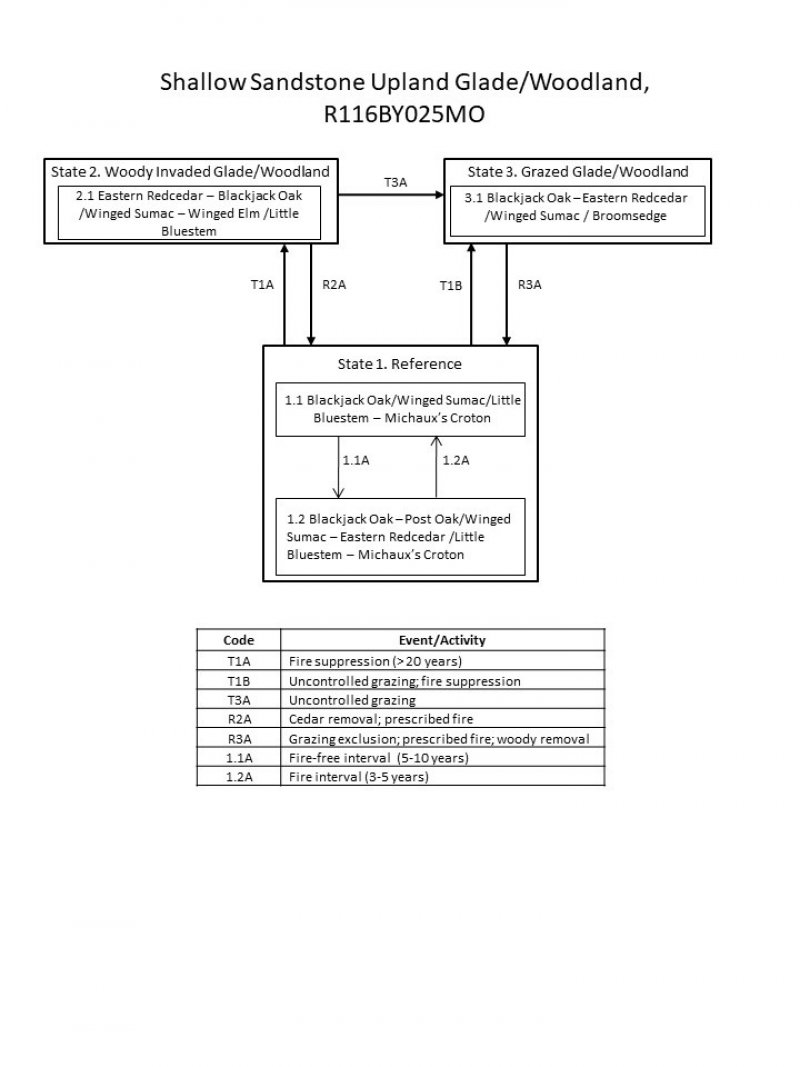 Model diagram