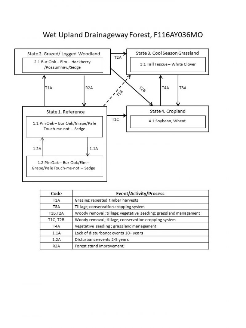Model diagram