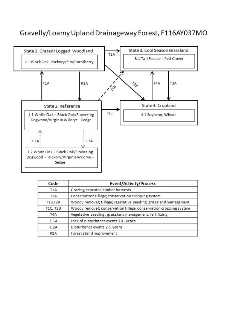 Model diagram