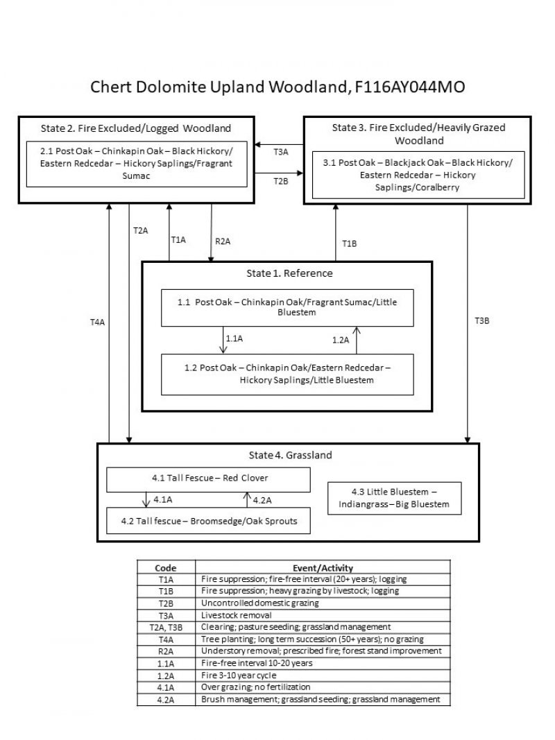 Model diagram