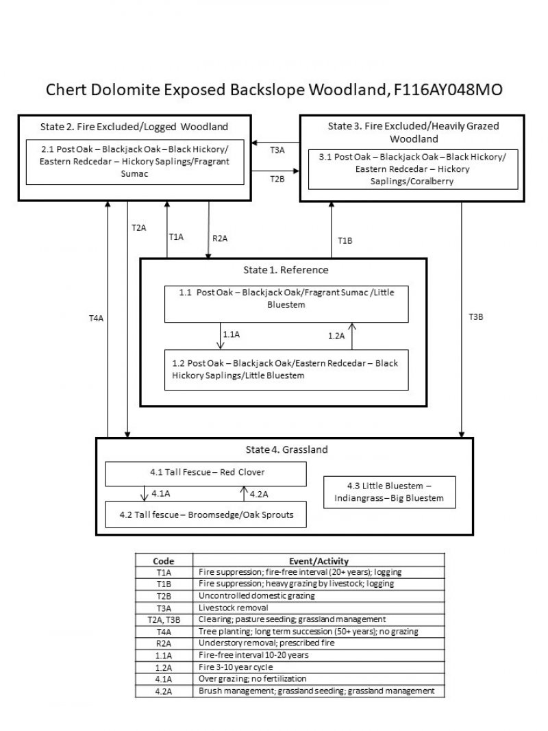 Model diagram