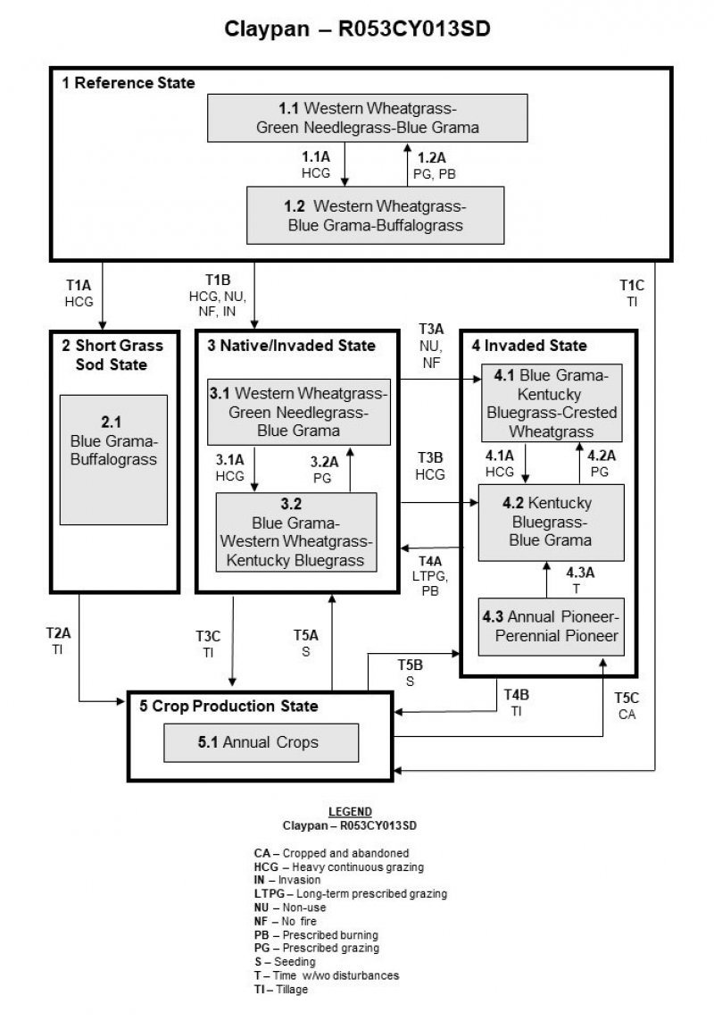 Model diagram