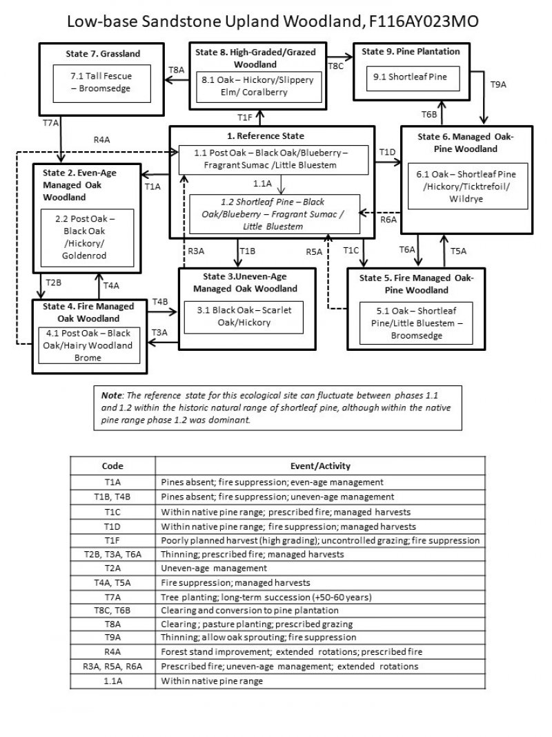 Model diagram