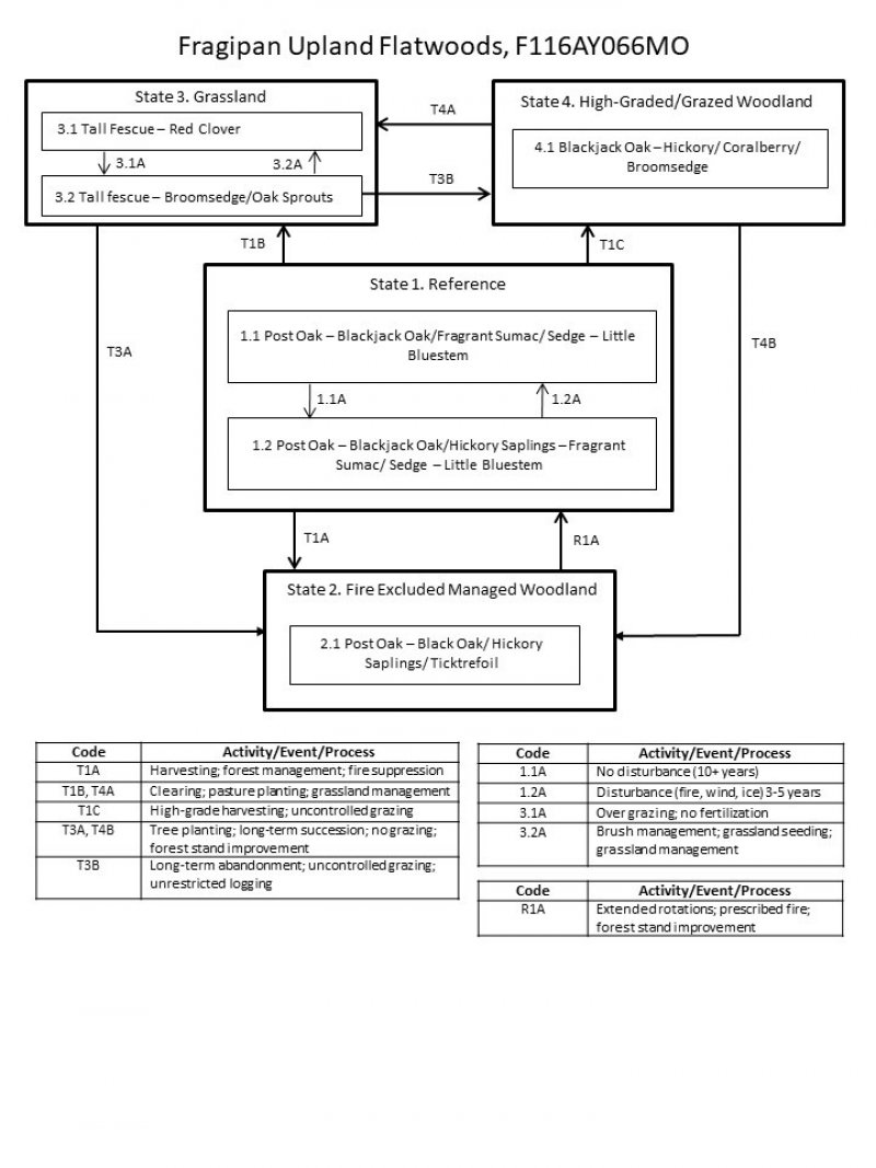 Model diagram