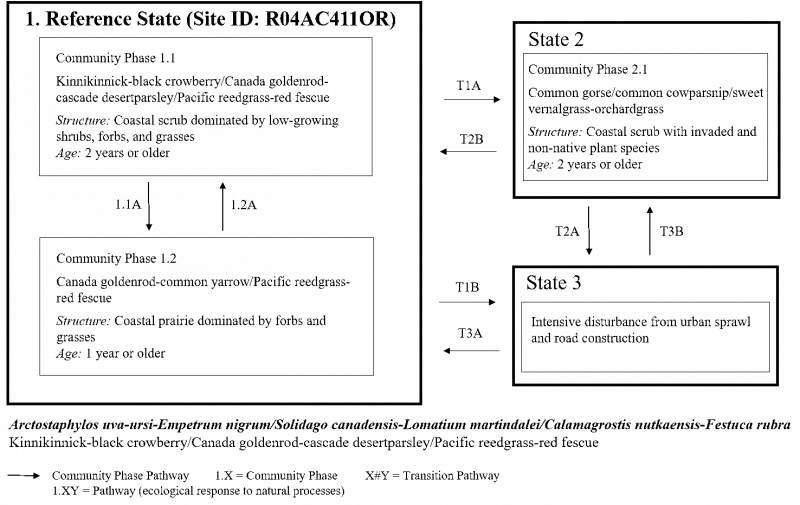 Model diagram