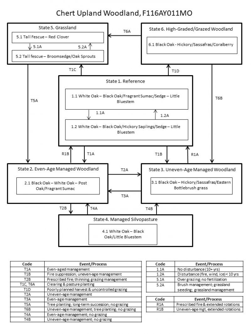 Model diagram