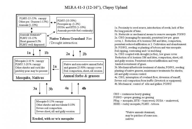 Model diagram