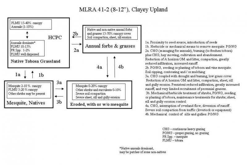 Model diagram