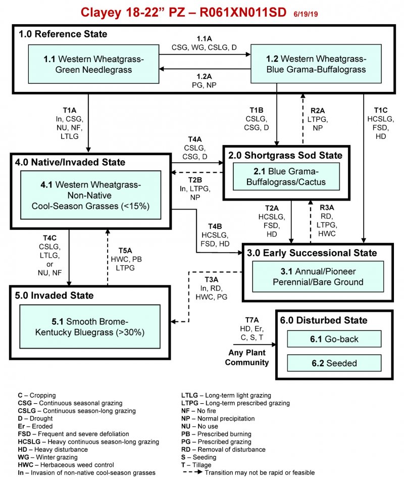 Model diagram