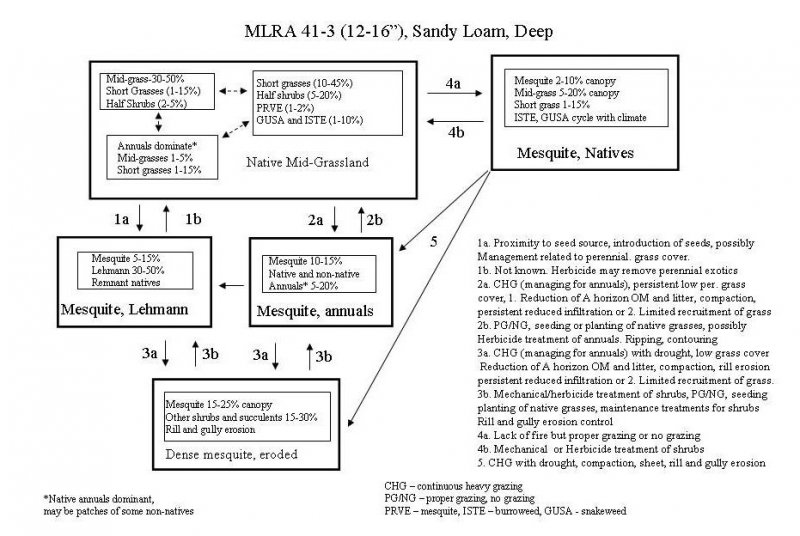 Model diagram