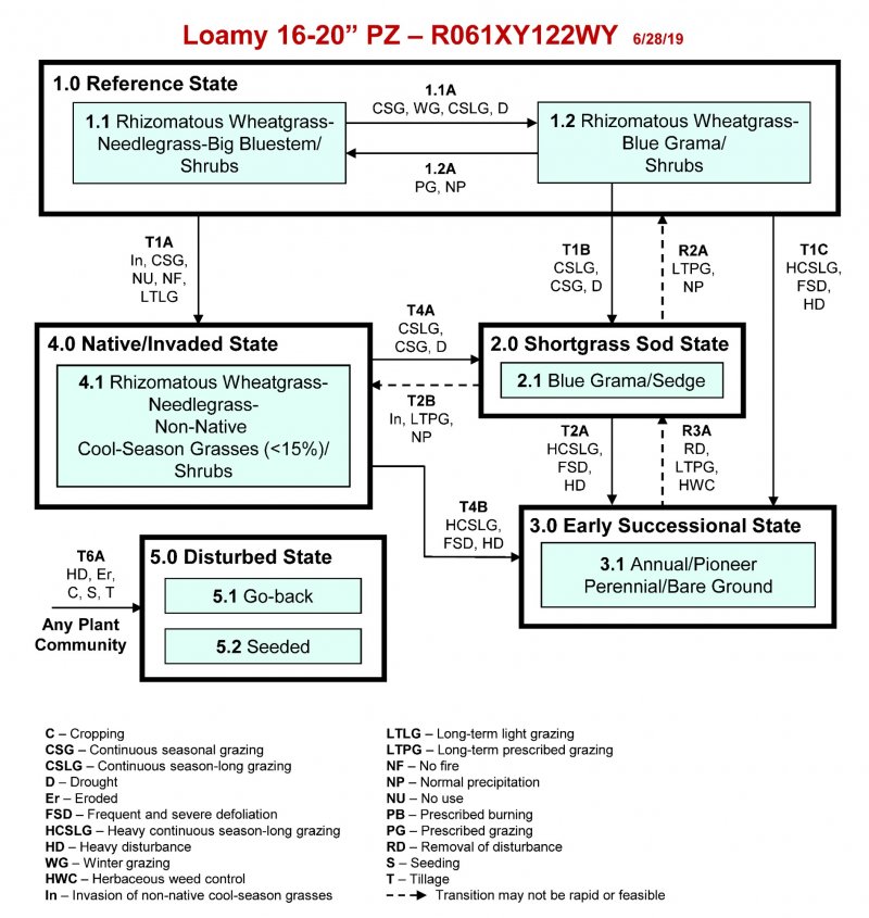 Model diagram