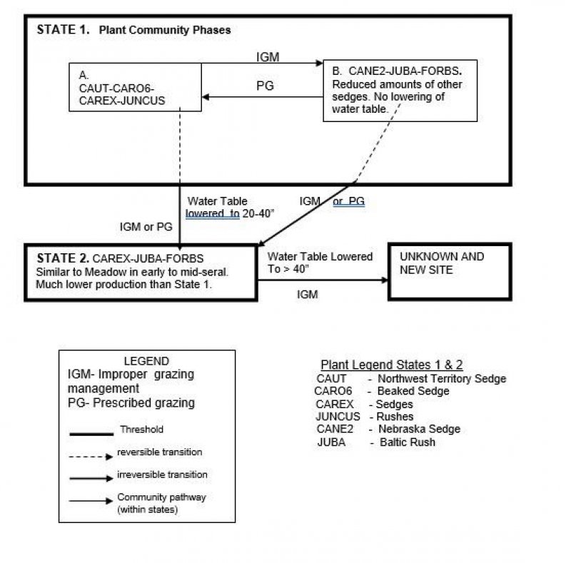 Model diagram