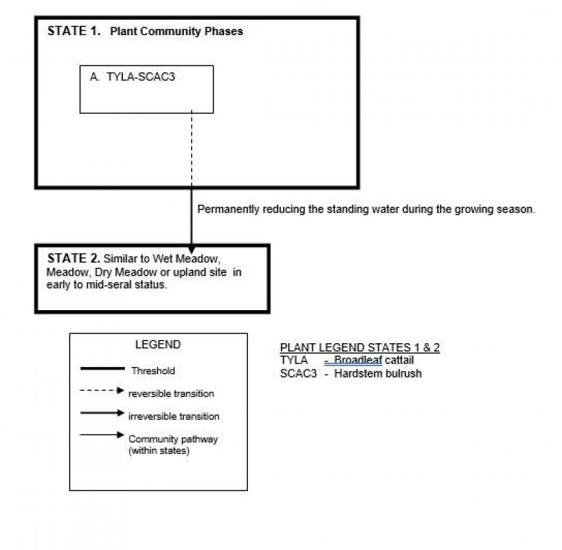 Model diagram