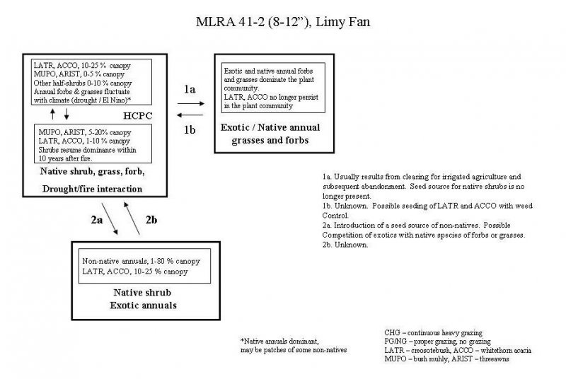 Model diagram
