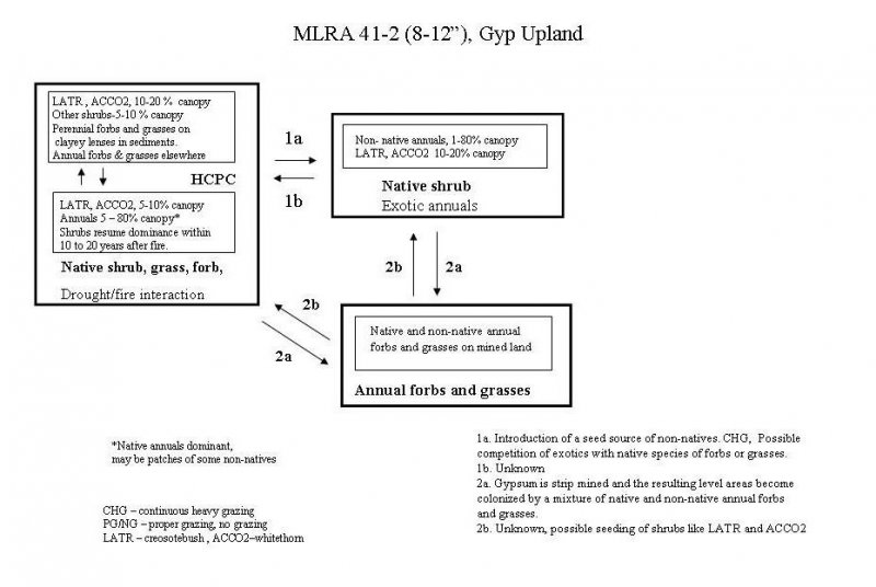 Model diagram
