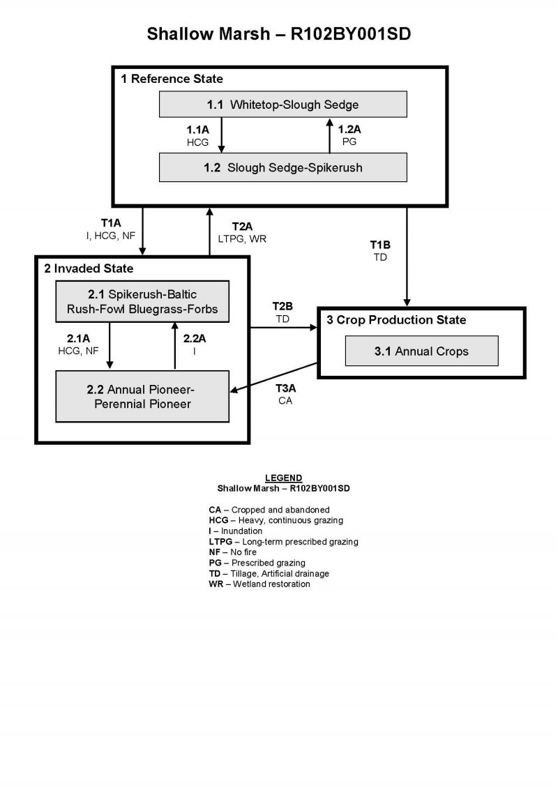 Model diagram