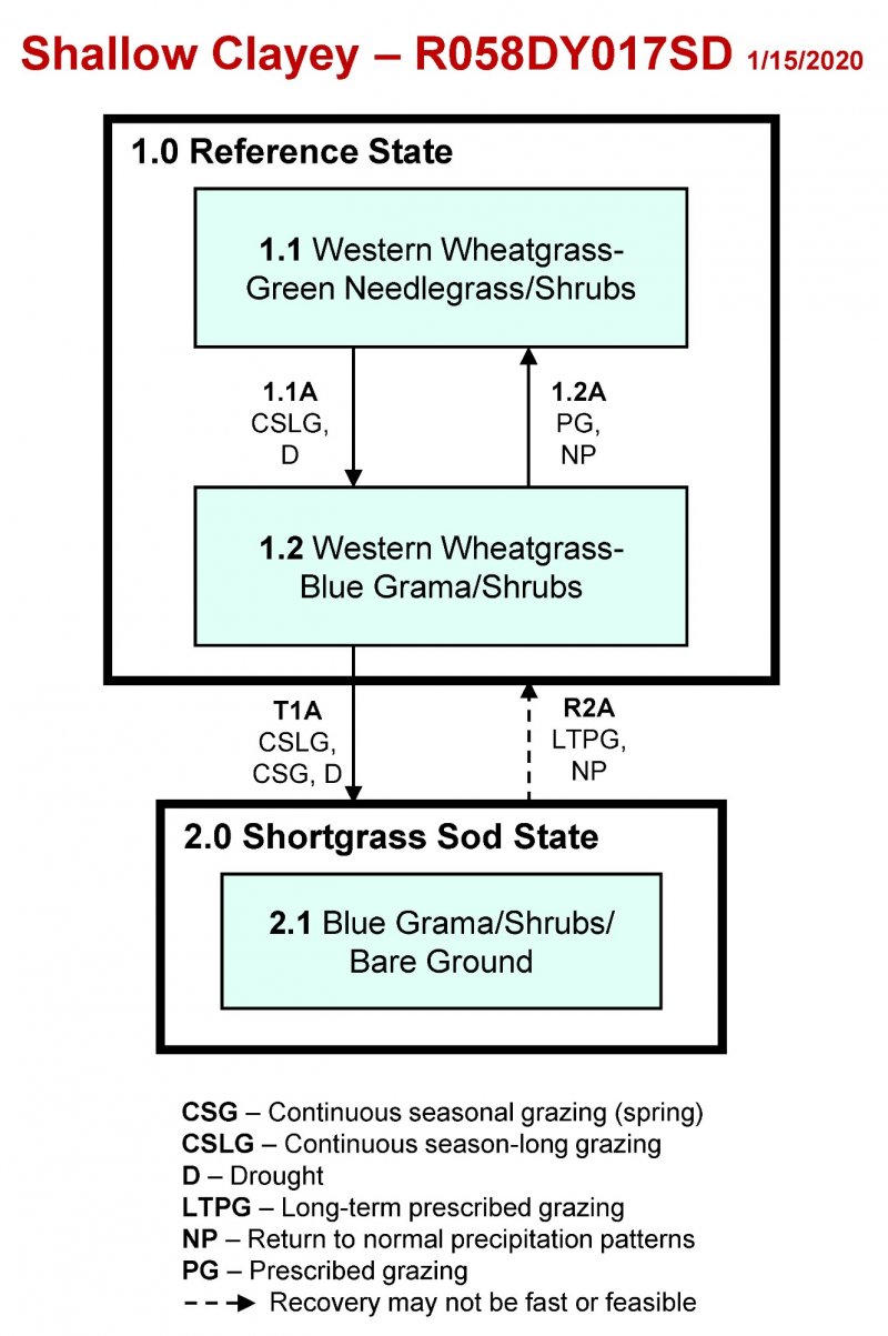 Model diagram