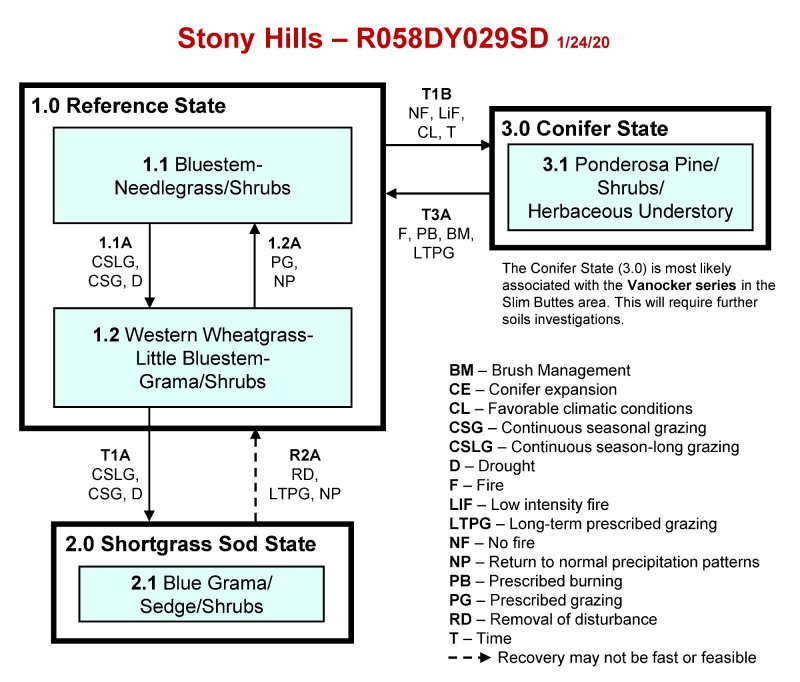 Model diagram