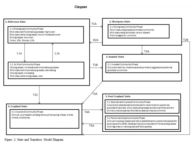 Model diagram