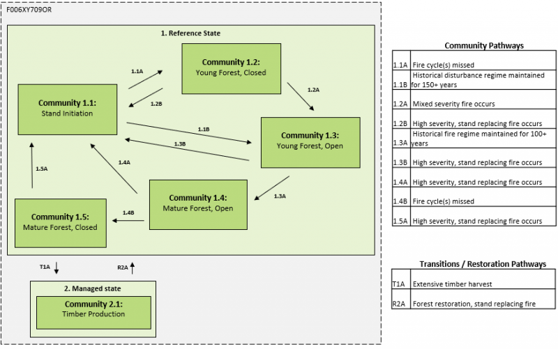 Model diagram