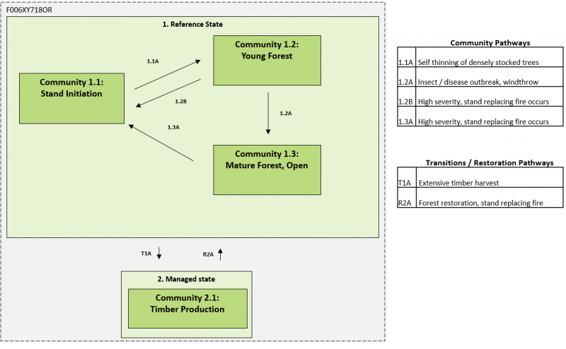 Model diagram