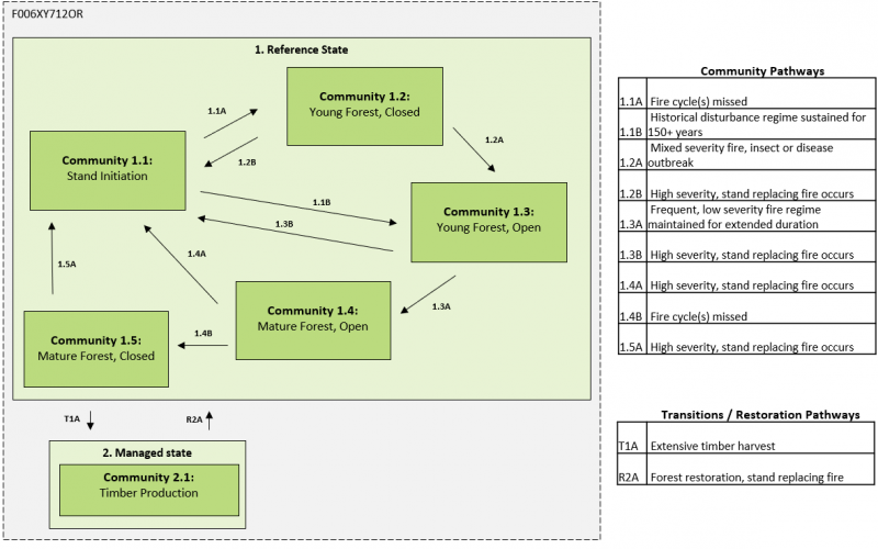 Model diagram