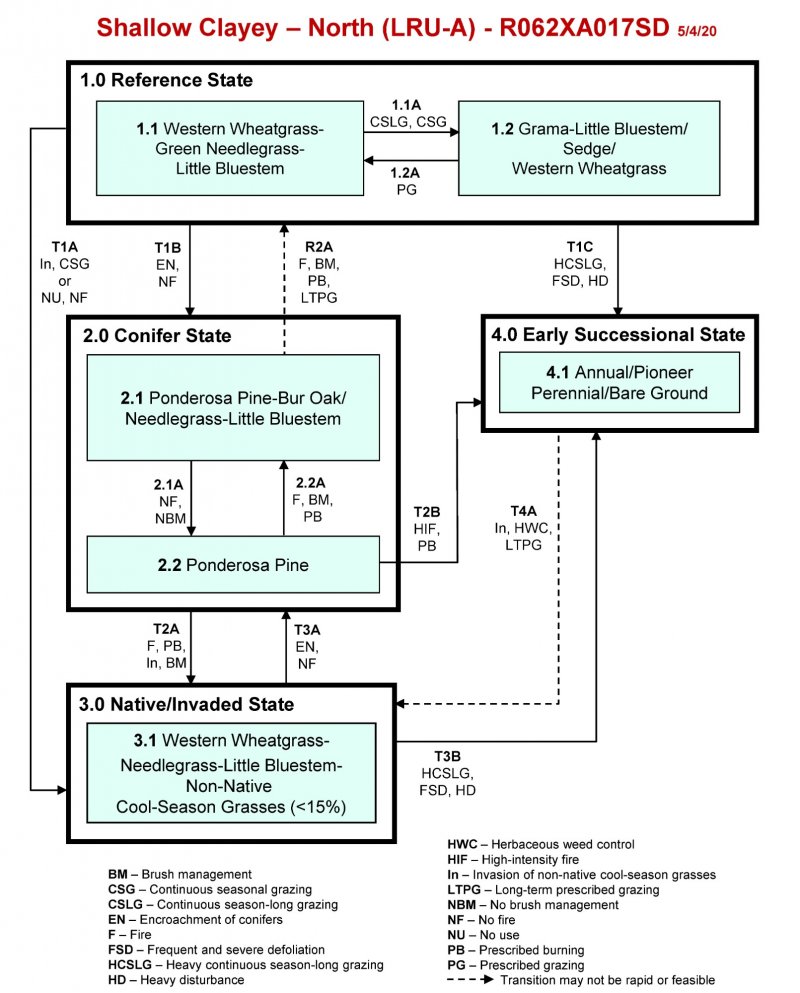 Model diagram