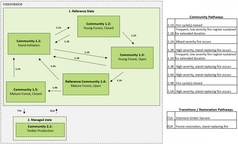 Model diagram