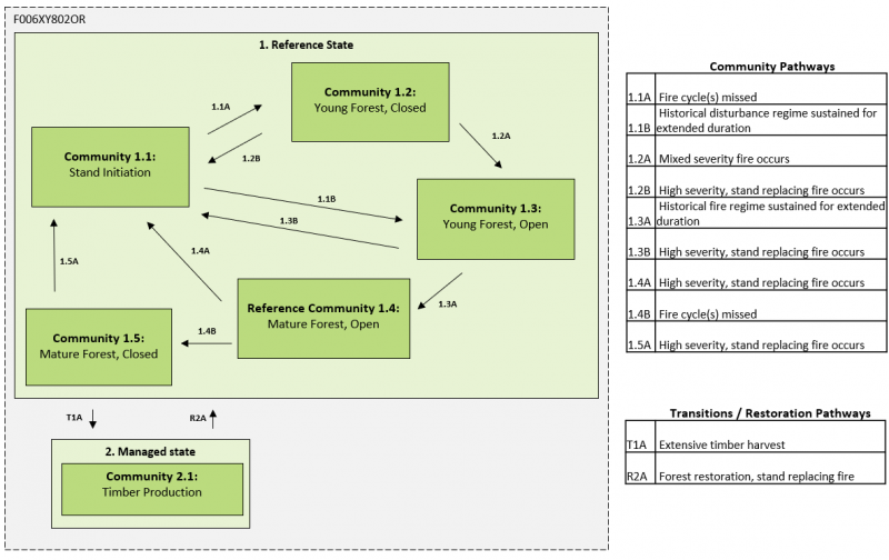 Model diagram
