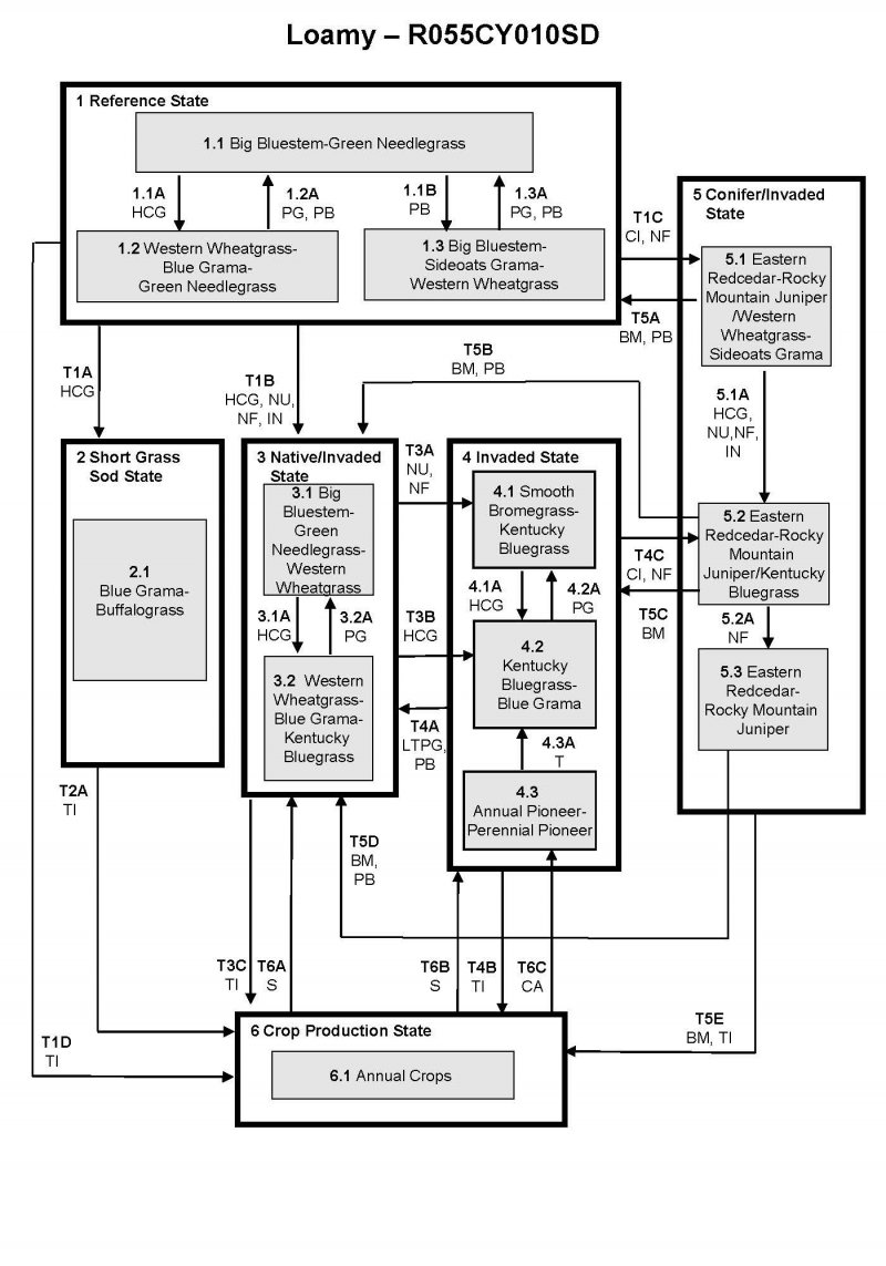Model diagram
