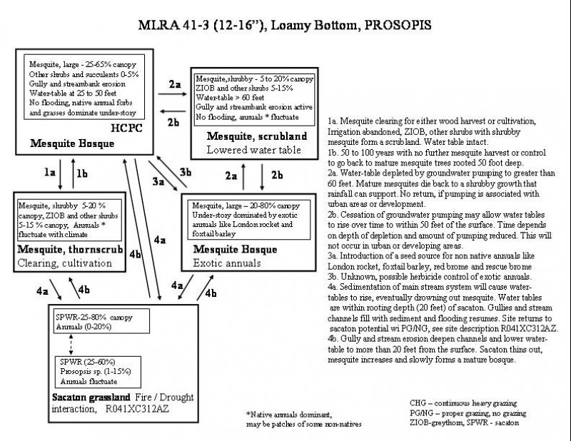 Model diagram