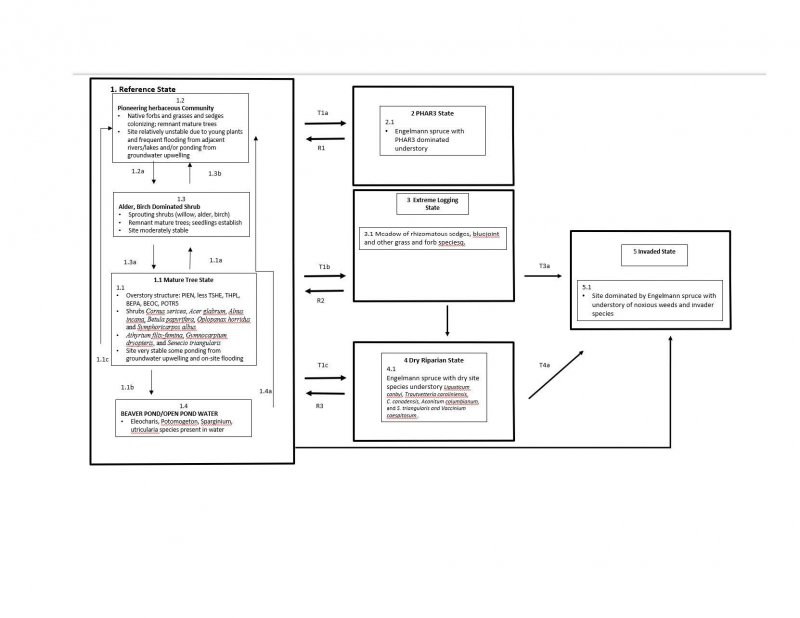 Model diagram