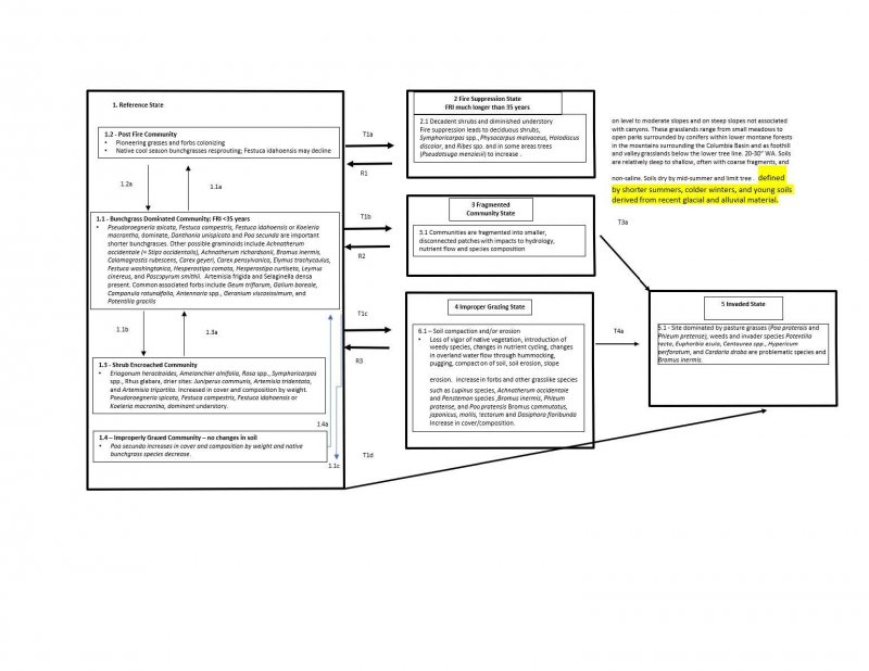 Model diagram