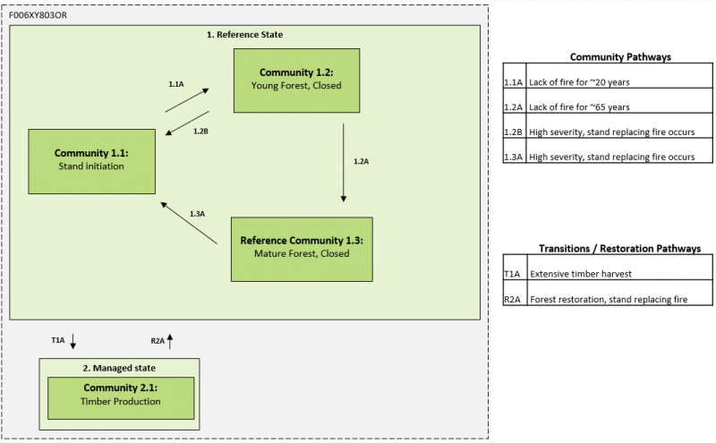 Model diagram