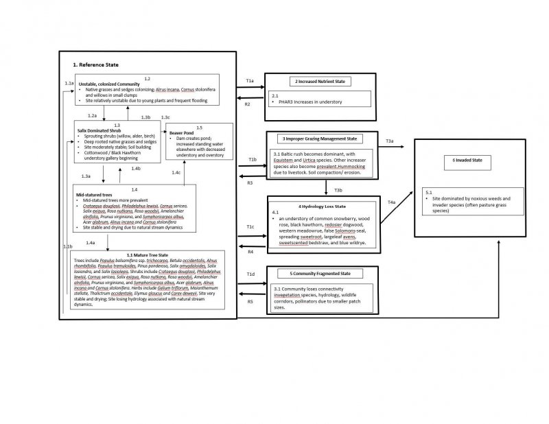 Model diagram
