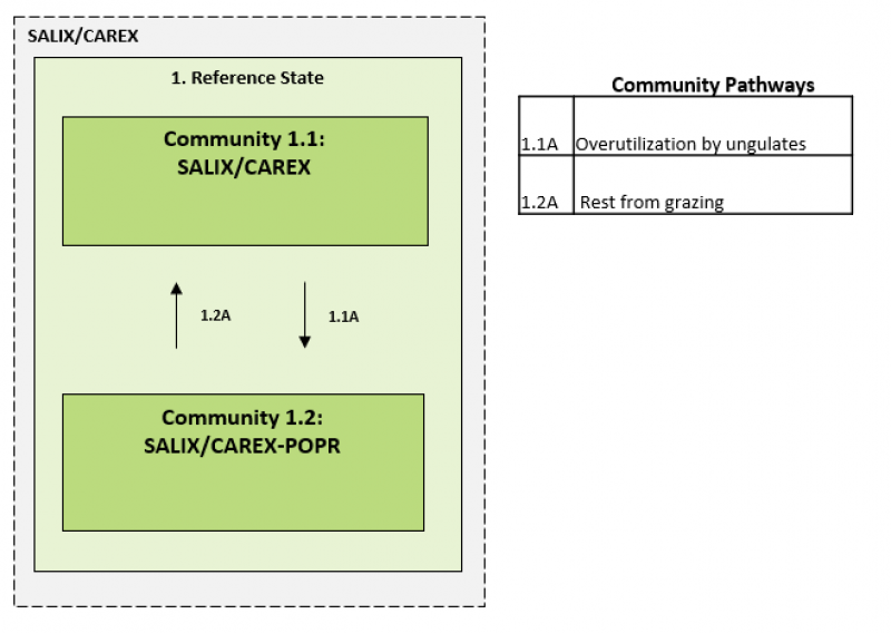 Model diagram