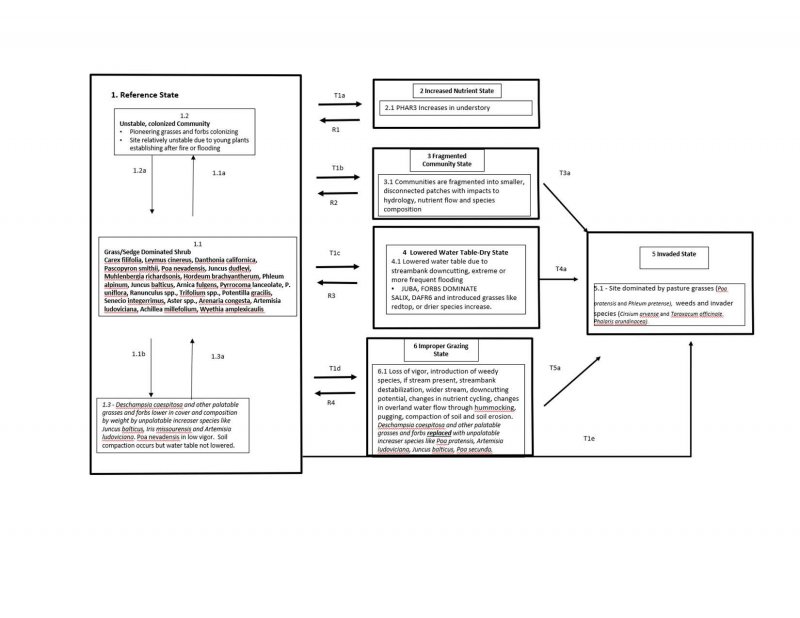 Model diagram