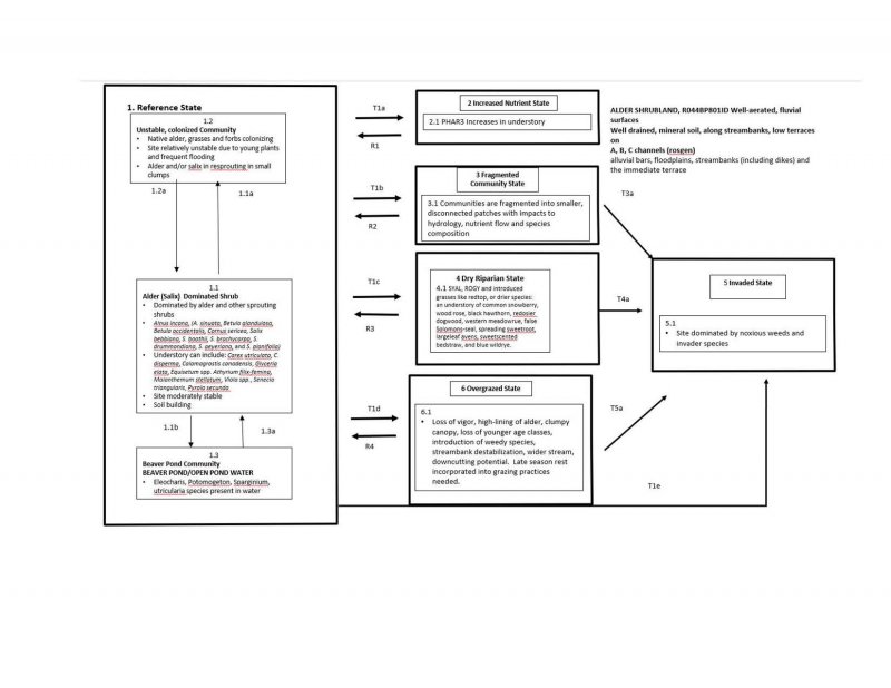 Model diagram