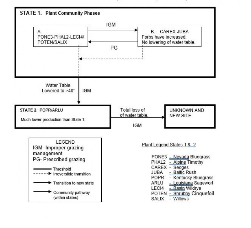 Model diagram