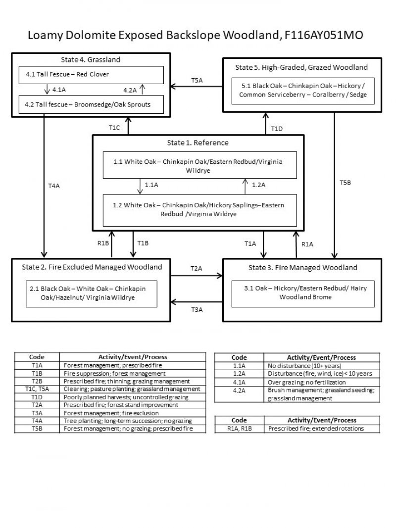 Model diagram