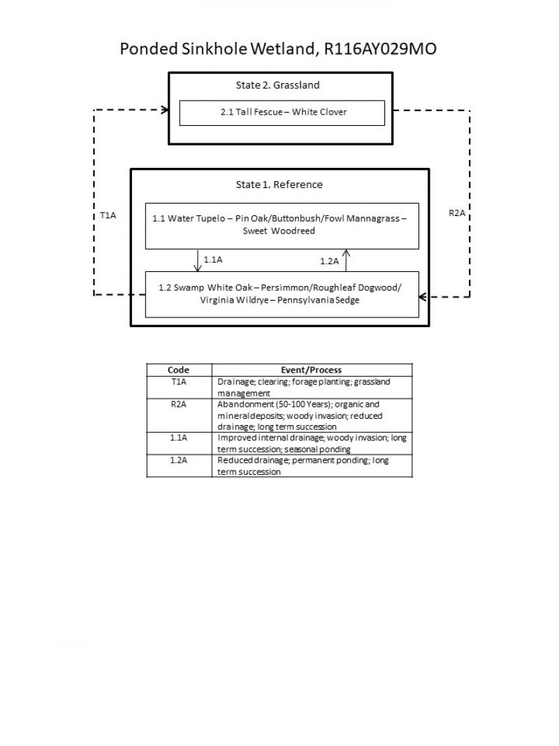 Model diagram
