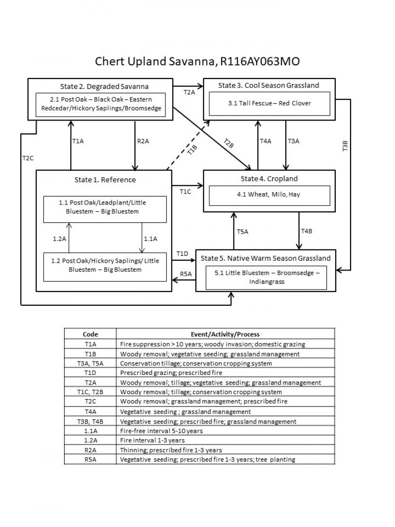 Model diagram