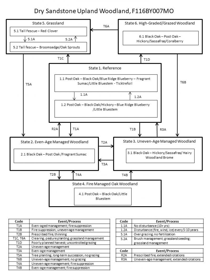 Model diagram